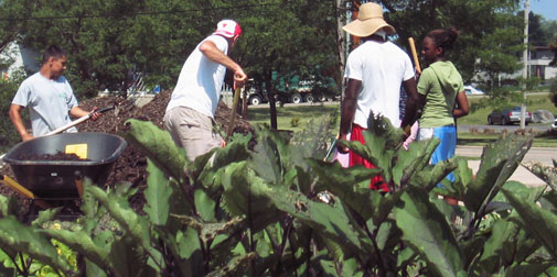 Bradshaw-Knight Foundation supports urban agriculture.