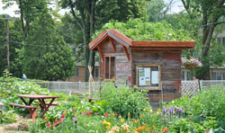 Sustain Dane rain garden shack.